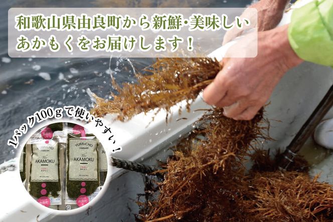 紀州あかもく［由良町産］100g×10パック（2024年産）【SL12】 303446_CG90007