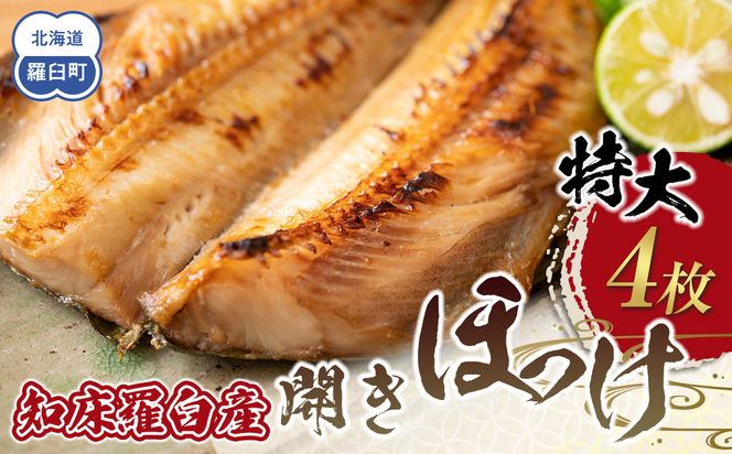 知床羅臼産 特大開きほっけ(4枚) 生産者 支援 応援 016942_AL006