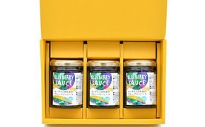 534.【お歳暮　のし付】前田農園　ヨーグルトのためのブルーベリーソース3本セット 313726_AB004VC02