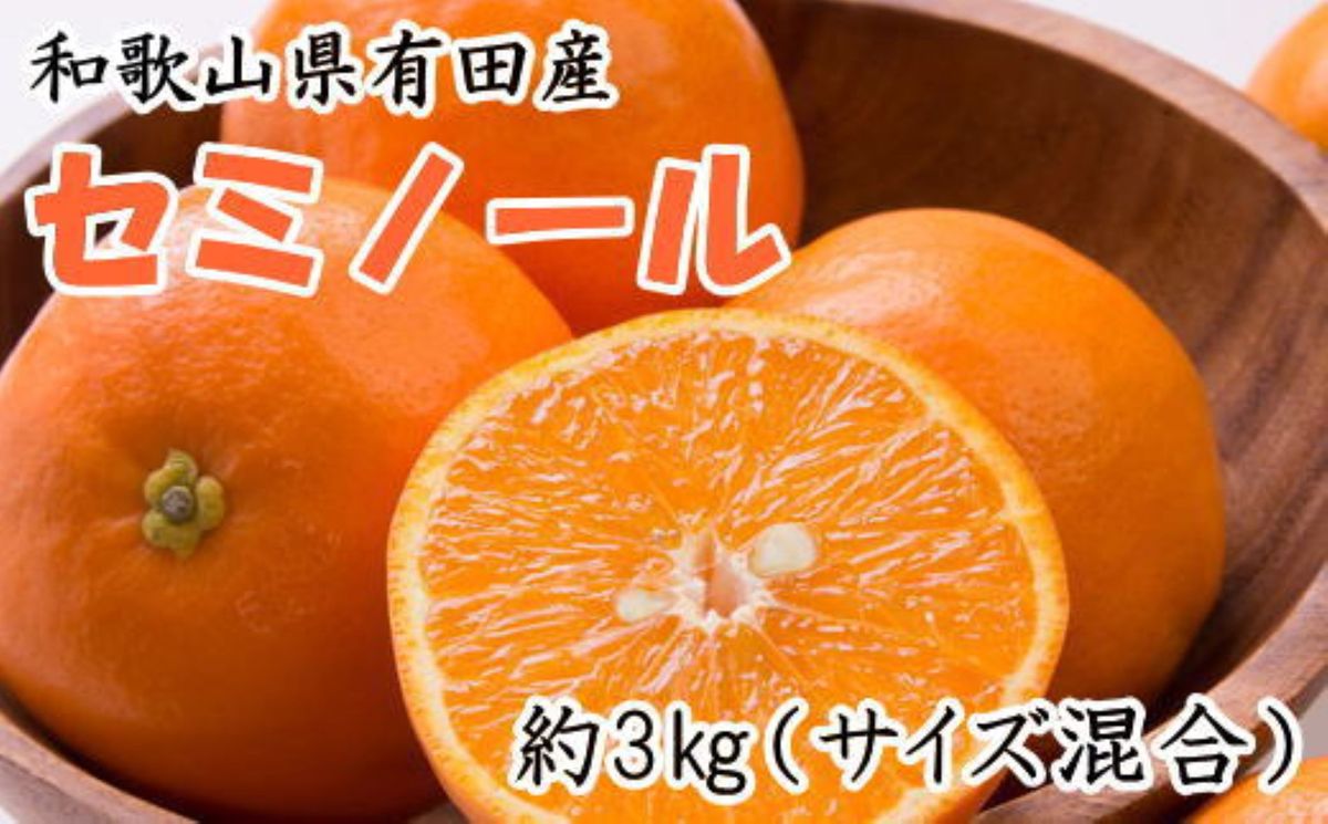[濃厚オレンジ]和歌山有田産セミノール約3kg(サイズ混合 秀品)★2026年4月中旬頃より順次発送[TM212] 303446_XH92265