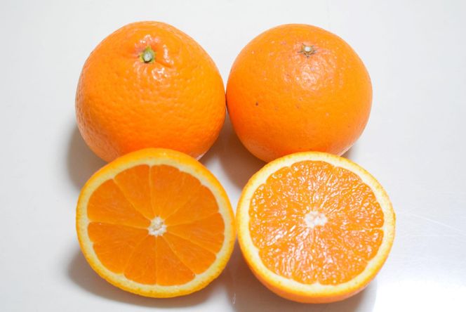 ［濃厚］有田産清見オレンジ約5kg(M～3Lサイズおまかせ、または混合)ご家庭用★2026年2月中旬頃より順次発送［TM211］ 303446_XH92264