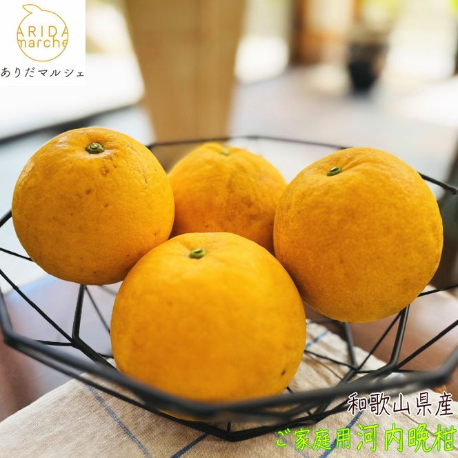 有田育ちの 爽やか 河内晩柑 (ご家庭用) 約3.5kg［2026年4月から発送］［MS61］ 303446_XD90212