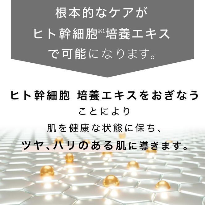 【ジョワセリュール】ヒト幹細胞培養エキス配合セラム［ 京都 美容 ブランド 美肌を叶える 美容液 マルチ成分配合 エイジングケア シワ・タルミ・シミ対策 人気 おすすめ 化粧水 スキンケア 高保湿 基礎化粧品 化粧品 お取り寄せ 通販 送料無料 ふるさと納税  ］ 261009_B-UA21