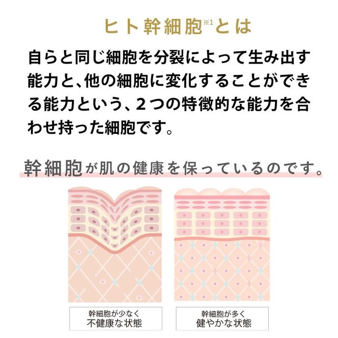【ジョワセリュール】ヒト幹細胞培養エキス配合 エマルジョン［ 京都 美容 ブランド 美肌を叶える 美容 乳液 マルチ成分配合 エイジングケア シワ・タルミ・シミ対策 人気 おすすめ 化粧水 スキンケア 高保湿 基礎化粧品 化粧品 お取り寄せ 通販 送料無料 ふるさと納税 ］ 261009_B-UA22