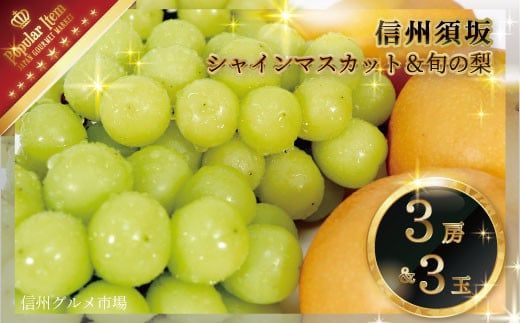 シャインマスカット3房＆旬の梨3玉 詰め合わせ《信州グルメ市場》■2024年発送■※9月中旬頃～10月中旬頃まで順次発送予定