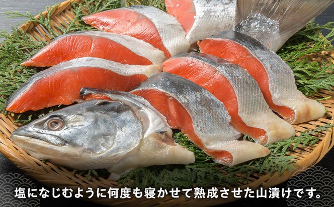 鮭山漬け 切身セット 生産者 支援 応援 016942_AH091