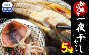 知床らうす 一夜干しセット 魚 北海道 海産物 魚介 魚介類 ほっけ ホッケ キンキ きんき めんめ いか 宗八カレイ 八角 干物 魚 肴 ご飯のお供 おかず 羅臼町 北海道 生産者 支援 応援 016942_AH138