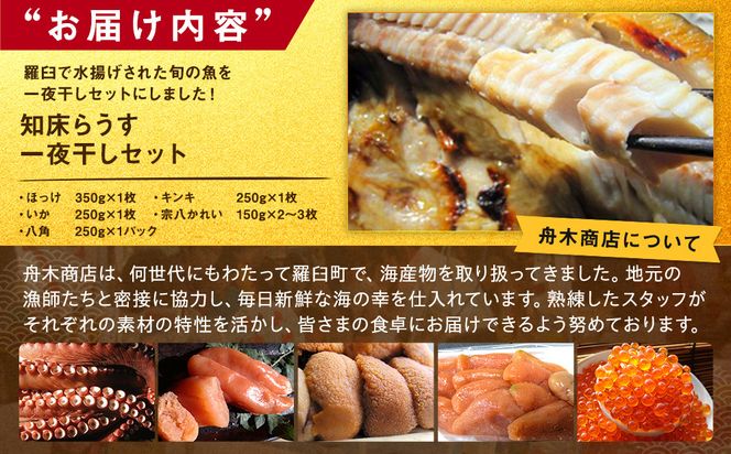 知床らうす 一夜干しセット 魚 北海道 海産物 魚介 魚介類 ほっけ ホッケ キンキ きんき めんめ いか 宗八カレイ 八角 干物 魚 肴 ご飯のお供 おかず 羅臼町 北海道 生産者 支援 応援 016942_AH138
