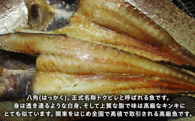 知床羅臼産 八角(ハッカク)トクビレ 300g前後×2パック 生産者 支援 応援 016942_AH191