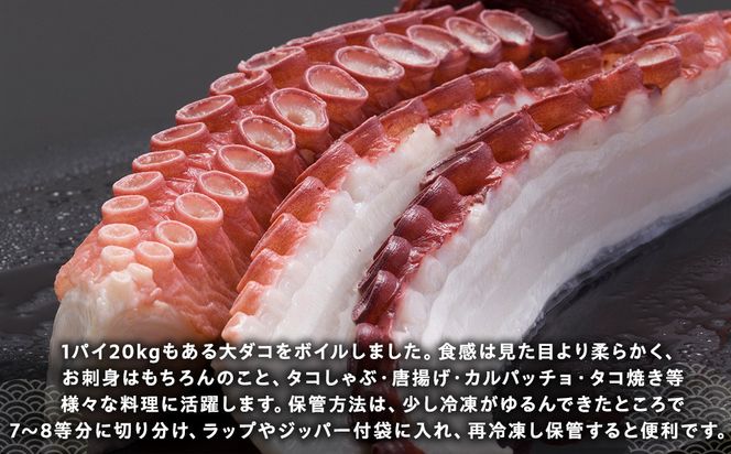 こんなでっかいタコみたことない(ボイル足1本) 北海道 海産物 魚介類 魚介 生産者 支援 応援 016942_AH211