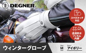 【デグナー】ウィンターグローブ [WG-34]アイボリー〈Mサイズ〉［ 京都 革 手袋 レザー グローブ バイクギア ブランド 大好評 人気 おすすめ 牛革 ツーリング ライダー バイカー バイク パーツ お取り寄せ 送料無料 ふるさと納税 ］ 261009_A-JR090VC03