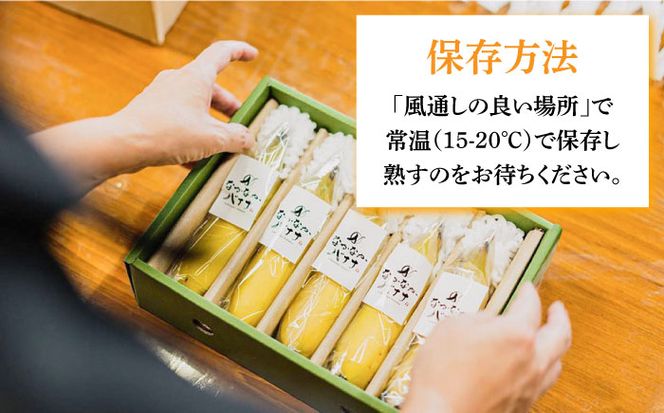 【2025年10月～発送】【皮ごと食べられる！】なかなかバナナ 5本 / バナナ フルーツ 果物 定期便 フルーツ定期便 / 南島原市 / ミナサポ 【SCW036】