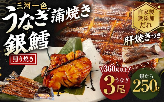 【中サイズ】蒲焼き 3尾×銀鱈 切身 250g 肝串焼き 付き セット 鰻 ウナギ タラ 鱈 うなぎ