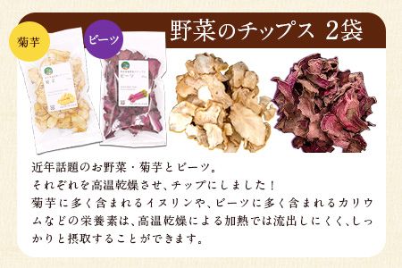 選べる菊芋料理セット レシピ付き 選べるチップ【菊芋&ビーツ】《30日以内に出荷予定(土日祝除く)》熊本県 大津町 菊芋パウダー 菊芋チップス FSSC22000取得 菊芋 ビーツ 株式会社阿蘇自然の恵み総本舗---so_shryo_30d_23_11000_3p_kb---