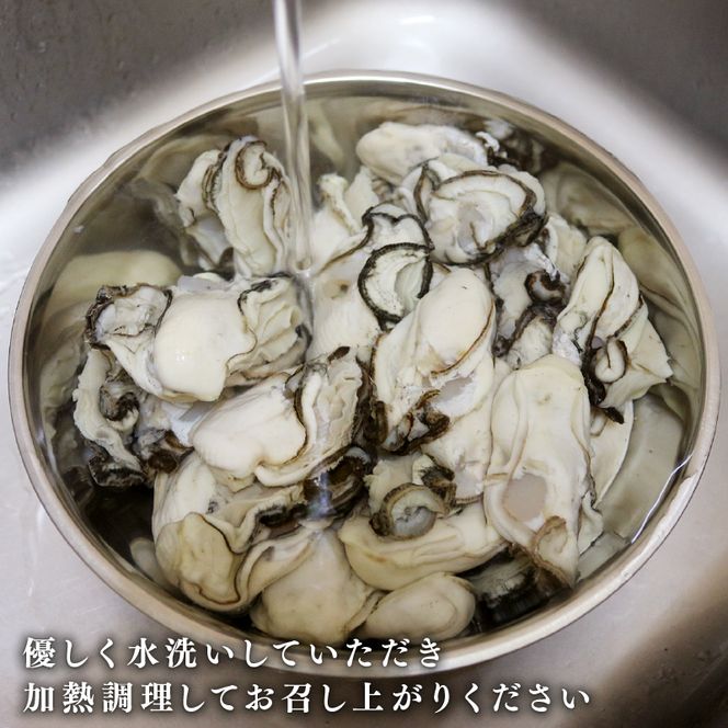 訳あり 春っこ 牡蠣 500g 加熱用 [10月～4月発送] 冷蔵 むき身 訳アリ 不揃い かき 牡蠣 カキ オイスター oyster アヒージョ バーベキュー BBQ フライ 揚げ物 鍋 ごはん 夕飯 おかず おつまみ 晩酌 米 丼 海産物 海鮮 魚介 魚介類 贈答品 お中元 お歳暮 大船渡 三陸 岩手県 国産 [funamoto001]