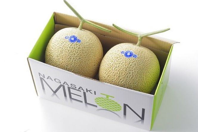 【期間限定発送】AA048 その道一筋の生産者がじっくり丁寧に育てた マスクメロン 2玉入