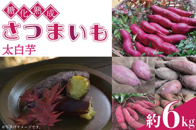 yȖ،vqzn܂()@6kgbȖ، vq ӂ邳Ɣ[ R n ܂  v~A iAU001-4j