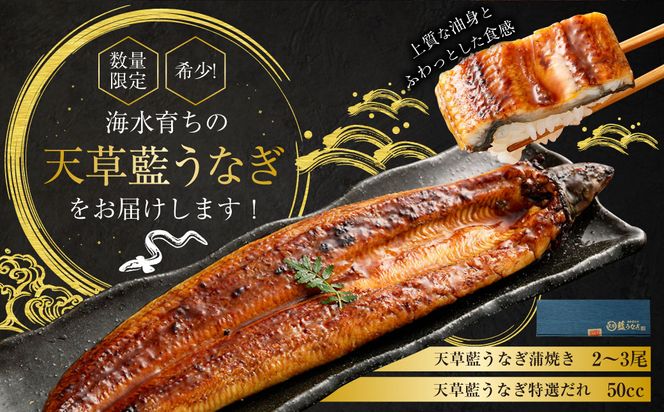 yF{Vszy~Vt̃vpzC炿̓VȂ Ă 2`3Zbgyv400gzV EiM ʌ!!