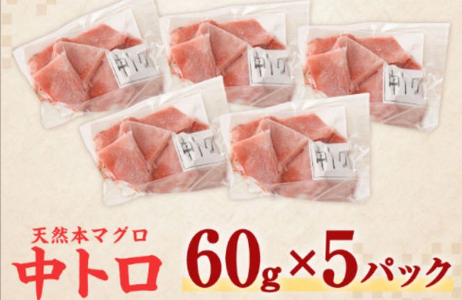 まぐろ ！《 天然本まぐろ 》 中トロ 切落し 【ちょこっとパック】合計300g(60g×5パック )  食べきりサイズ 天然 本マグロ まぐろ マグロ 鮪 中とろ 切り落とし 海産物 魚 刺身 魚介類 海鮮 小分け 簡単 調理 惣菜 訳あり 手軽 高知県 不揃い 冷凍 12000円 送料無料 室戸 mgr tk035!