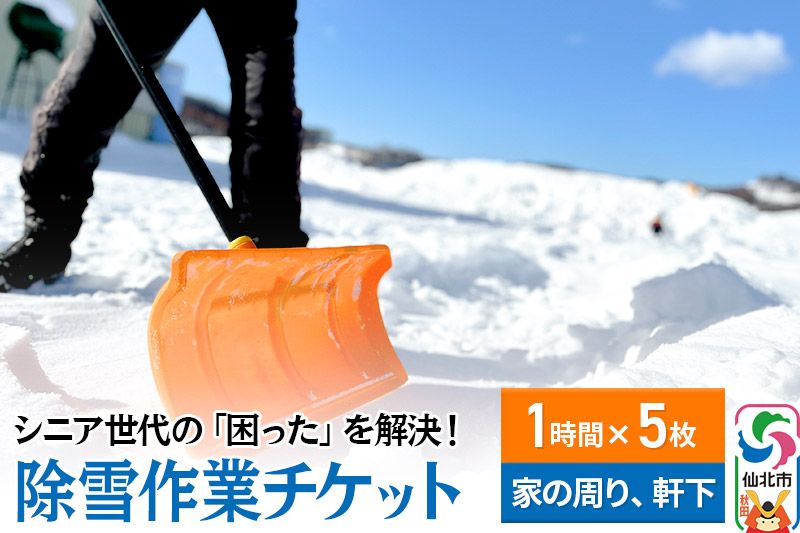 シニア世代の「困った」を解決!除雪作業サービス利用チケット 1時間×5枚[家の周りや軒下の除雪作業にご利用可能]|02_aom-040501