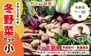 R6-398．【2回定期便・早期受付・数量限定】＼とれたて新鮮／農家直送！アグリユウベの冬野菜セット（小）【配送月：2025年1月・2月】／農家直送！アグリユウベの冬野菜セット（小）【配送月：2025年1月・2月】