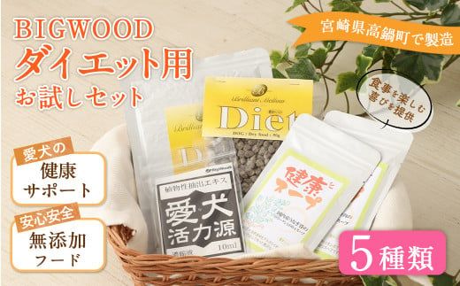 y{茧S璬zBIGWOOD _CGbgpZbgɏoׁyc1066_bw_x2z