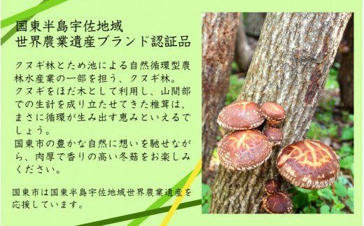 乾し椎茸 冬菇180g（国東半島宇佐地域世界農業遺産ブランド認証品）_1886R