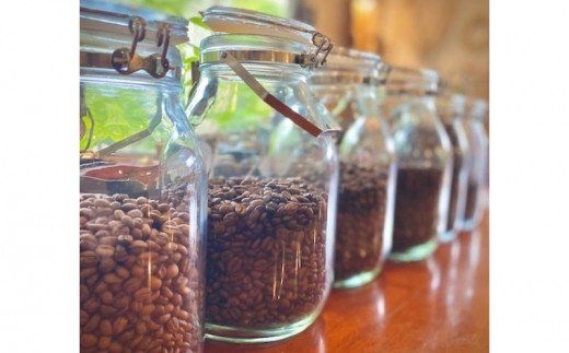 自家焙煎【Bloom Coffee Okinawa】ブレンド飲み比べ（200gx2種類）