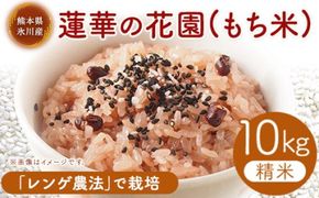 蓮華の花園(もち米) 10kg 精米 JAやつしろカントリー利用組合 熊本県 氷川町《30日以内に出荷予定(土日祝除く)》---sh_jacomoti_30d_24_25000_10kg---