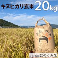 【令和6年産先行予約】米 キヌヒカリ 玄米 20kg〈アグリにのうみ〉京都・亀岡産《令和6年産》◇ ※北海道・沖縄・離島への配送不可※2024年10月中旬～11月中旬頃に順次発送予定