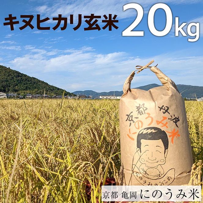 令和3年産キヌヒカリ　玄米20kg食品/飲料/酒