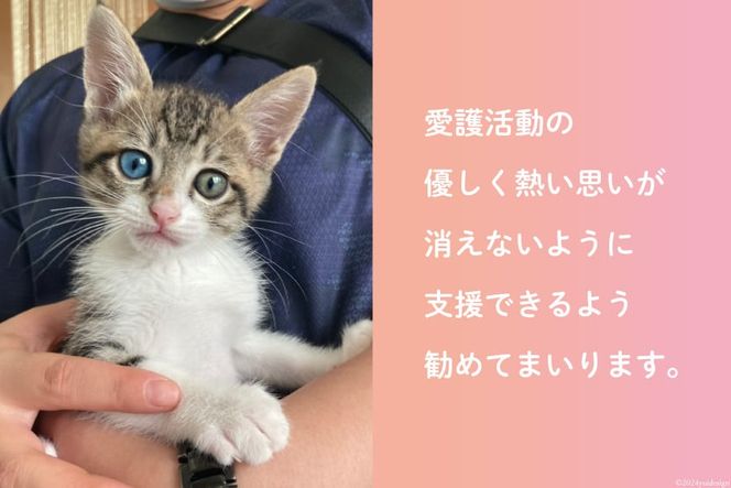 愛護支援、去勢・避妊治療支援 10万円 [Animal Care Salvation 福岡県 筑紫野市 21760767] 動物 ペット 愛護 TNR 保護 動物福祉 保護施設 里親 犬 猫 イヌ ネコ 動物愛護 