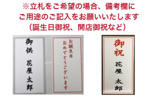 1034.フォアスPREMIUM胡蝶蘭3本立ち48輪以上 リップ (A1034-2) 