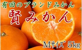 [秀品]有田のブランド「賢みかん」5kg(Mサイズ) 【2024年11月中旬頃より順次発送】BZ008