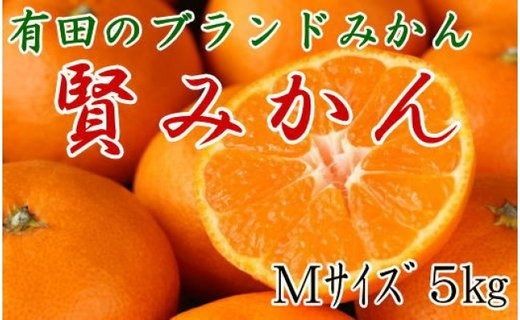 [秀品]有田のブランド「賢みかん」5kg(Mサイズ) 【2024年11月中旬頃より順次発送】BZ008