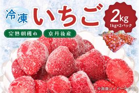 完熟朝穫れ 冷凍いちご　HK00272