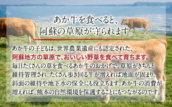 くまもとあか牛 すき焼き用 400g 南阿蘇L（阿蘇牧場）《90日以内に出荷予定(土日祝除く)》熊本県 南阿蘇村 すき焼き すきやき 牛肉 肉 あか牛 赤牛---sms_fkmkgsk_90d_r7_17000_400g---