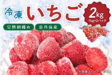 【完熟朝穫れ】冷凍いちご　HK00114