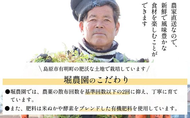 BH052 人参 訳あり 堀農園のこだわり人参 約10kg [ 野菜 訳アリ にんじん ニンジン キャロット 10キロ 先行予約 常備野菜 国産 贅沢宝庫 長崎県 島原市 ]