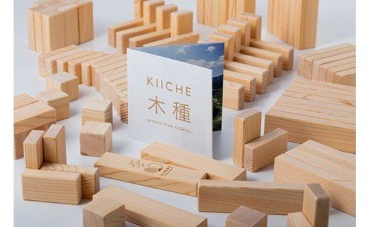 KIICHE木種model-X2 キッシュ【ヒノキの積木】AI02