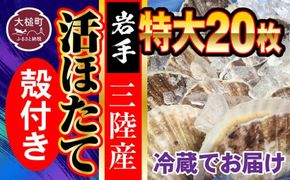  朝獲れ三陸活ホタテセット (特大20枚) 生食用【0tsuchi00951】