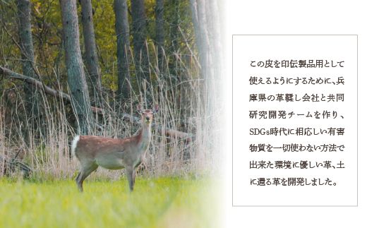 甲州印伝「URUSHINASHIKA」ペンケース FCR004