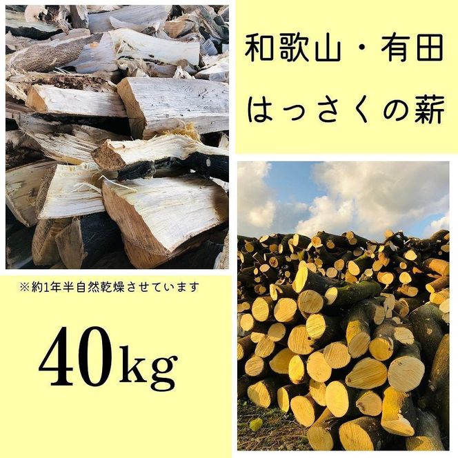 薪 キャンプ用 和歌山・有田のはっさくの薪 40kg　DJ022
