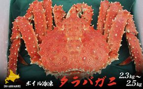 タラバガニ ボイル冷凍 2.3～2.5kg オホーツク産 SRMN007