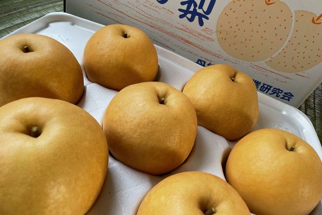 【先行予約／数量限定100】廿世紀梨　5kg（2026年9月上旬～発送）　FK00014