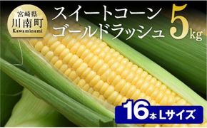 【令和8年発送】宮崎県産とうもろこし　朝どれ！守部さんちのゴールドラッシュ (L)5kg 【 とうもろこし スイートコーン トウモロコシ スィートコーン 令和8年発送 】 [C06409]