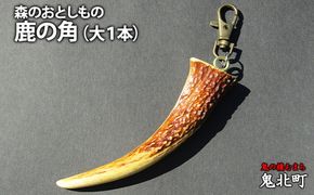 森のおとしもの(1)鹿の角（大1本）＜インテリア 民芸品 工芸品 オブジェ 天然 角 鹿 しか シカ 愛媛県 鬼北町＞