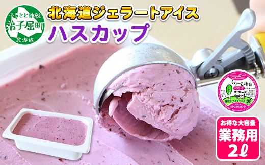 607.アイスクリーム ハスカップ ジェラート 業務用 2リットル 2L アイス 大容量  手作り 北海道 弟子屈町