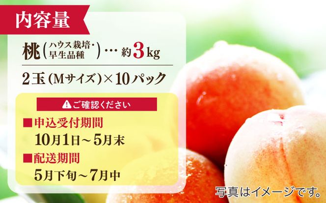 【2025年5月下旬〜順次発送】【南島原の特別栽培】小玉ハウス桃【約3kg】（Mサイズ：10パック） / 桃 もも モモ ピーチ 3kg デザート 旬 フルーツ 柔らかい 果物 / 南島原市 / ふくはちファーム [SBS008]