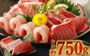 【 訳あり 】 厳選天然マグロ 3種セット 合計約750g (南マグロ250g・めばちマグロ250g・びんちょうマグロ250g) 3種類 ふるさと納税限定 食べ比べ ブロック 魚 惣菜  刺身 まぐろ丼 手巻き寿司 海鮮丼 冷凍 故郷納税 20000円 送料無料　ge002